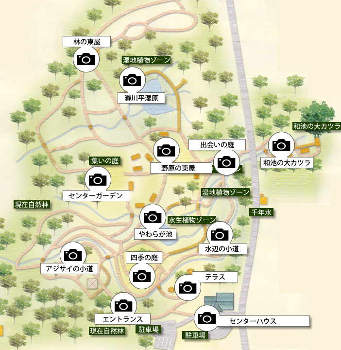 但馬高原植物園：園内マップ